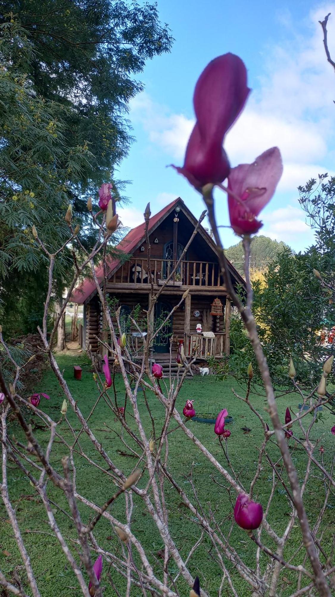 Casa De Toras Campo Alegre (Santa Catarina) Exterior foto